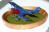 Eduard 1/48 Pfalz D.IIIa