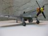 Hasegawa 1/48 P-51D Mustang