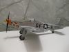 Hasegawa 1/48 P-51D Mustang