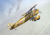  Classic Airframes 1/48 Fiat CR 32 Chirri -    