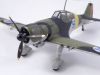 Special Hobby 1/72 Fokker D.XXI (Twin Wasp)