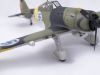 Special Hobby 1/72 Fokker D.XXI (Twin Wasp)