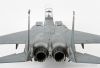 Academy 1/48 F-15E Strike Eagle -  