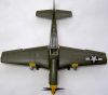 ICM 1/48 P-51D Mustang -  
