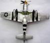 ICM 1/48 P-51D Mustang -  