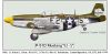 ICM 1/48 P-51D Mustang -  