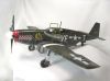 Tamiya 1/48 P-51B Mustang -    ?