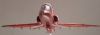 Airfix 1/72 Bae Hawk Red Arrows