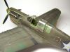 Hasegawa 1/48 P-40N Warhawk