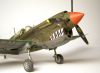 Hasegawa 1/48 P-40N Warhawk