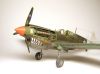 Hasegawa 1/48 P-40N Warhawk