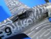 Tamiya 1/48 FW-190F-8 -  