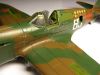 Hasegawa 1/48 P-40E Warhawk    