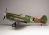 Hasegawa 1/48 P-40E Warhawk    