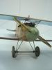 Roden 1/32 Albatros D.III -  