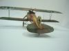 Roden 1/32 Albatros D.III -  