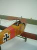 Roden 1/32 Albatros D.III -  