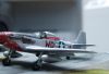 ICM 1/48 P-51D Mustang