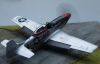 ICM 1/48 P-51D Mustang