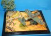 Italeri 1/48 Ar-196 -      