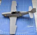 ICM 1/48 P-51D Mustang Shawnee Prinsess