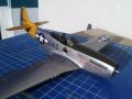 ICM 1/48 P-51D Mustang Shawnee Prinsess