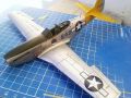 ICM 1/48 P-51D Mustang Shawnee Prinsess