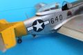 ICM 1/48 P-51D Mustang Shawnee Prinsess