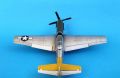 ICM 1/48 P-51D Mustang Shawnee Prinsess