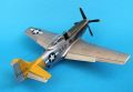 ICM 1/48 P-51D Mustang Shawnee Prinsess