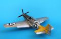 ICM 1/48 P-51D Mustang Shawnee Prinsess