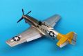 ICM 1/48 P-51D Mustang Shawnee Prinsess