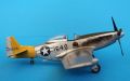 ICM 1/48 P-51D Mustang Shawnee Prinsess