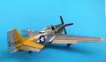 ICM 1/48 P-51D Mustang Shawnee Prinsess