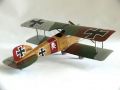 Eduard 1/48 Albatros D.II