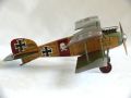 Eduard 1/48 Albatros D.II