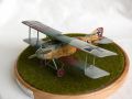 Eduard 1/48 Albatros D.II