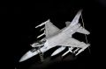 Tamiya 1/48 F-16C Fighting Falcon Block 50 Gamblers