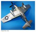 Dragon 1/32 P-51D Mustang