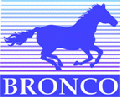    Bronco Models  