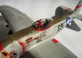 NOVO 1/72 Republic P-47D-25-RE Thunderbolt BUBBLE TOP