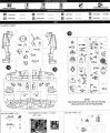  1/48 Classic Airframes  Brewster 239 Buffalo