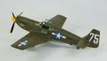 Accurate Miniatures 1/48 P-51A Mustang