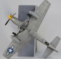 Accurate Miniatures 1/48 P-51A Mustang