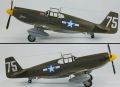 Accurate Miniatures 1/48 P-51A Mustang