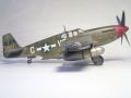 Accurate Miniatures 1/48 P-51B Mustang Rebel Queen