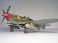 Accurate Miniatures 1/48 P-51B Mustang Rebel Queen