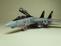 Hasegawa 1/72 F-14D VF-31 Tomcatters