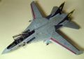 Hasegawa 1/72 F-14D VF-31 Tomcatters