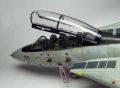 Hasegawa 1/72 F-14D VF-31 Tomcatters